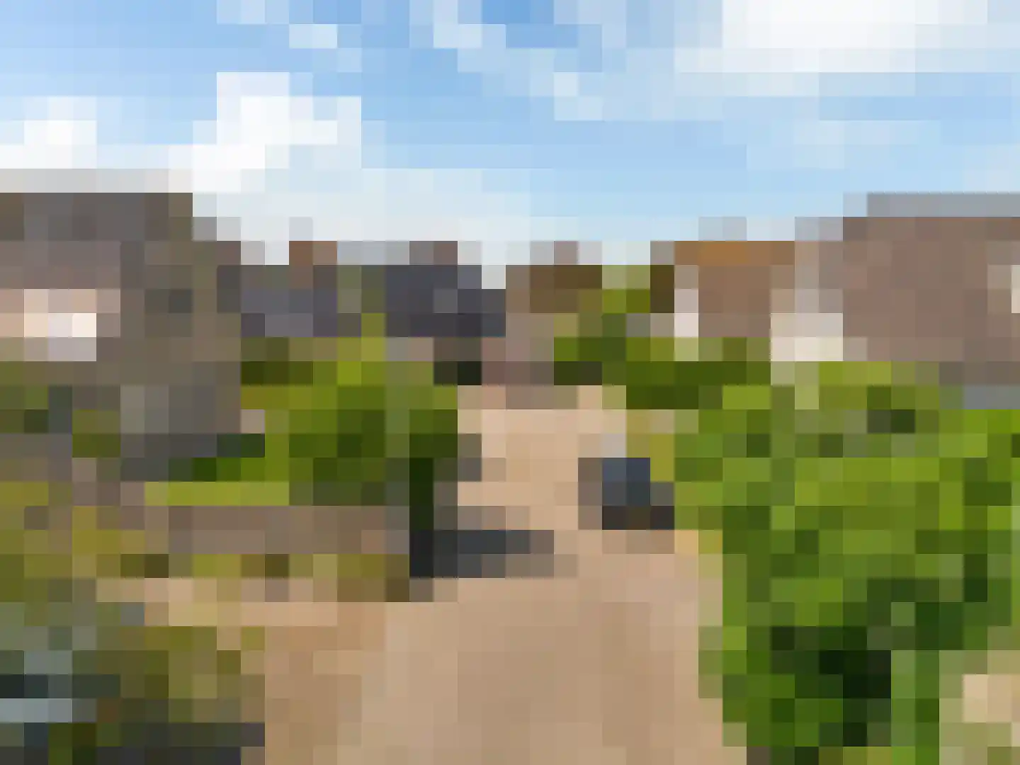 Baanweydt 6 Medemblik thumbnail 76
