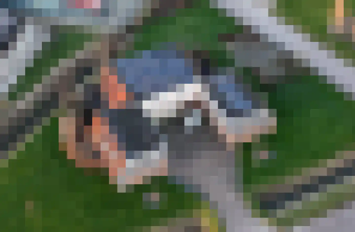 Baarderbuorren 12 Arum thumbnail 10