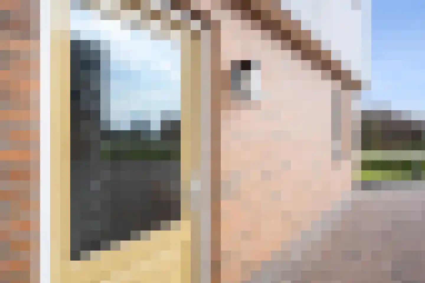 Baarderbuorren 12 Arum thumbnail 65