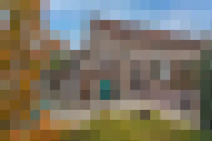 Baardgras 2 Borne thumbnail 22