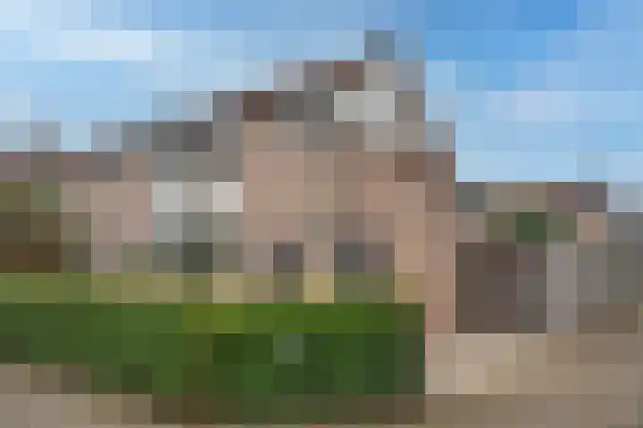 Baardgras 2 Borne thumbnail 5