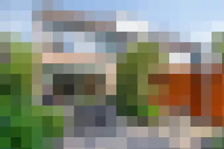Baardgras 33 Veenendaal thumbnail 21