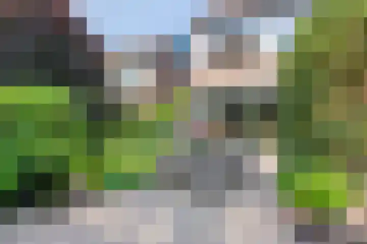 Baardgras 33 Veenendaal thumbnail 22