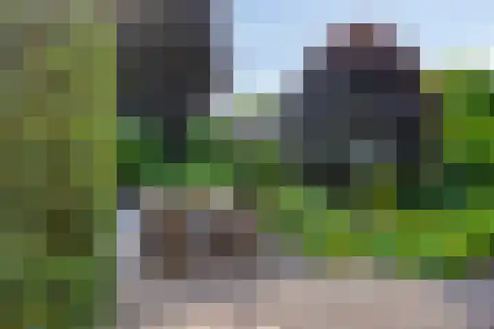 Baardgras 33 Veenendaal thumbnail 23
