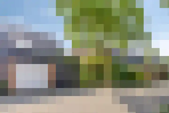 Baardgras 33 Veenendaal thumbnail 25