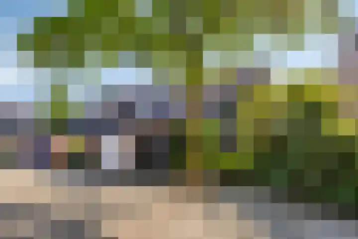 Baardgras 33 Veenendaal thumbnail 29