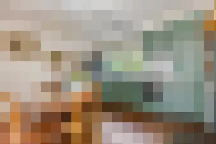 Baardgras 33 Veenendaal thumbnail 4