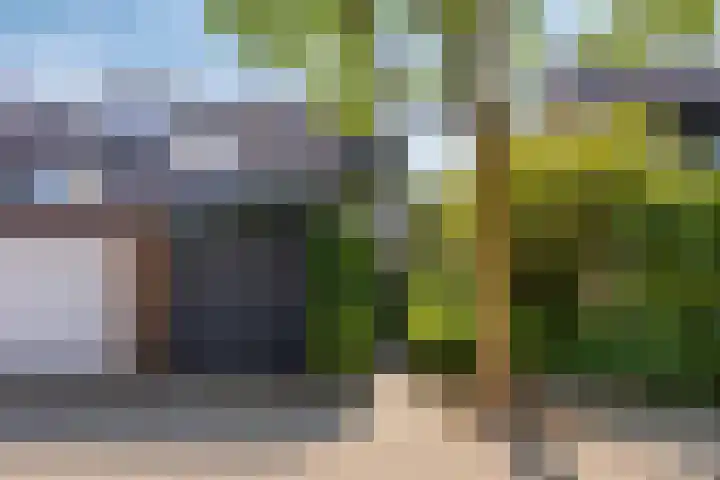 Baardgras 33 Veenendaal thumbnail 6