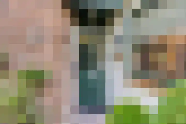 Baardgras 33 Veenendaal thumbnail 7