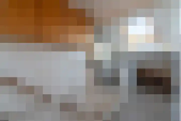Baardgras 36 Veenendaal thumbnail 23