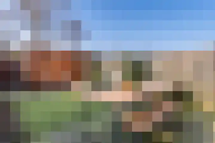 Baardgras 36 Veenendaal thumbnail 28