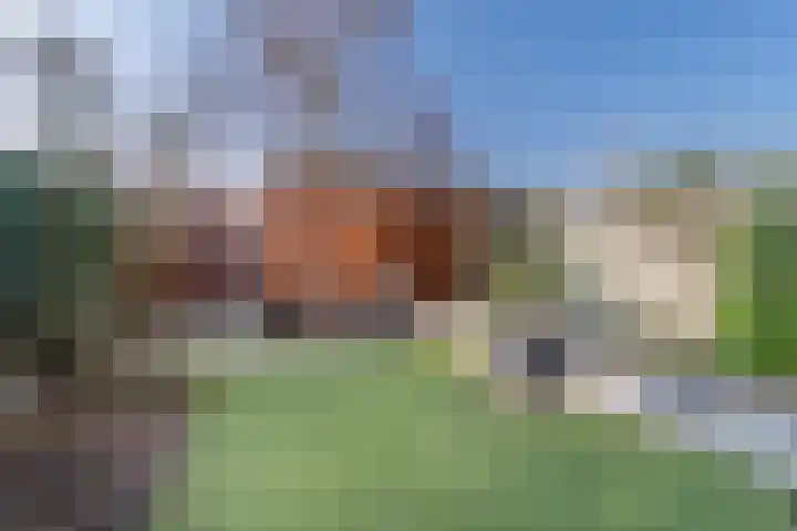 Baardgras 36 Veenendaal thumbnail 29
