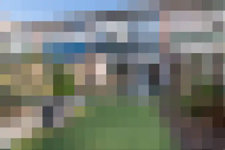 Baardgras 36 Veenendaal thumbnail 30