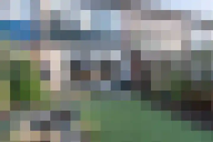 Baardgras 36 Veenendaal thumbnail 31