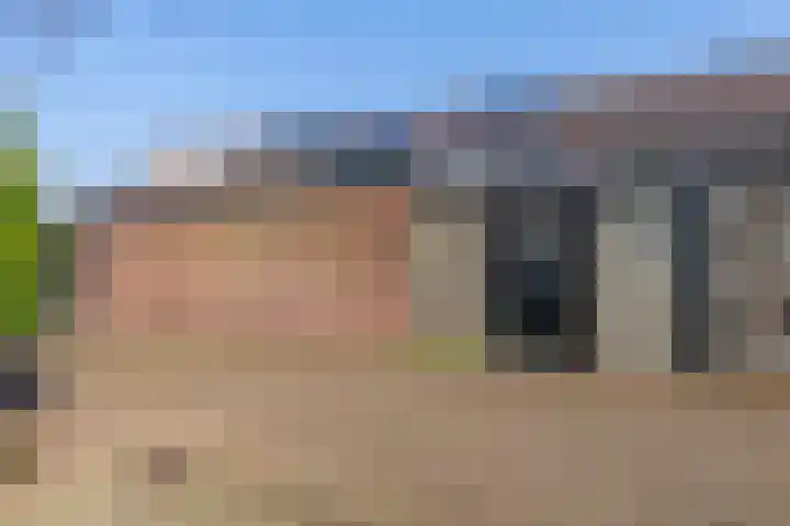Baardgras 36 Veenendaal thumbnail 32