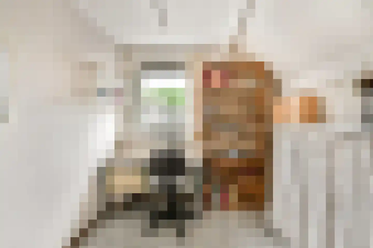 Baardmannetje 10 Nieuw-Lekkerland thumbnail 18