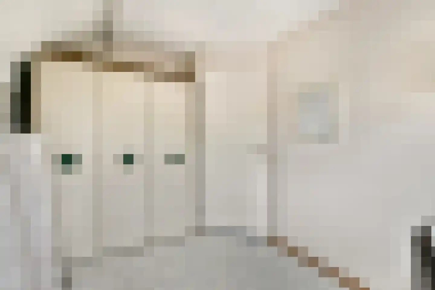 Baardmannetje 10 Nieuw-Lekkerland thumbnail 19