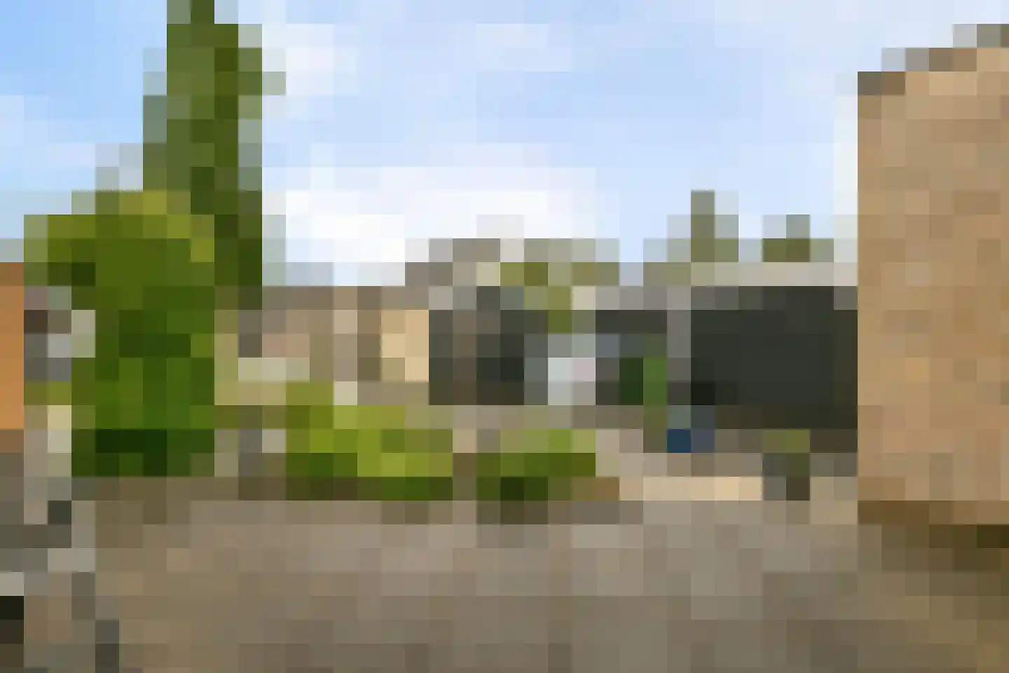 Baardmannetje 10 Nieuw-Lekkerland thumbnail 20
