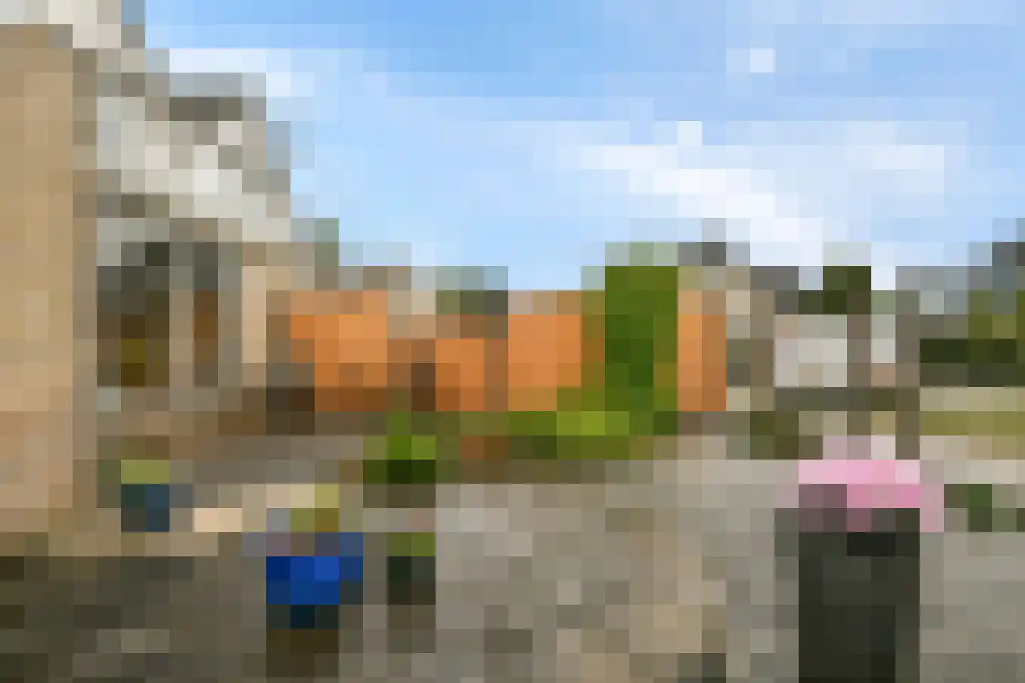 Baardmannetje 10 Nieuw-Lekkerland thumbnail 21