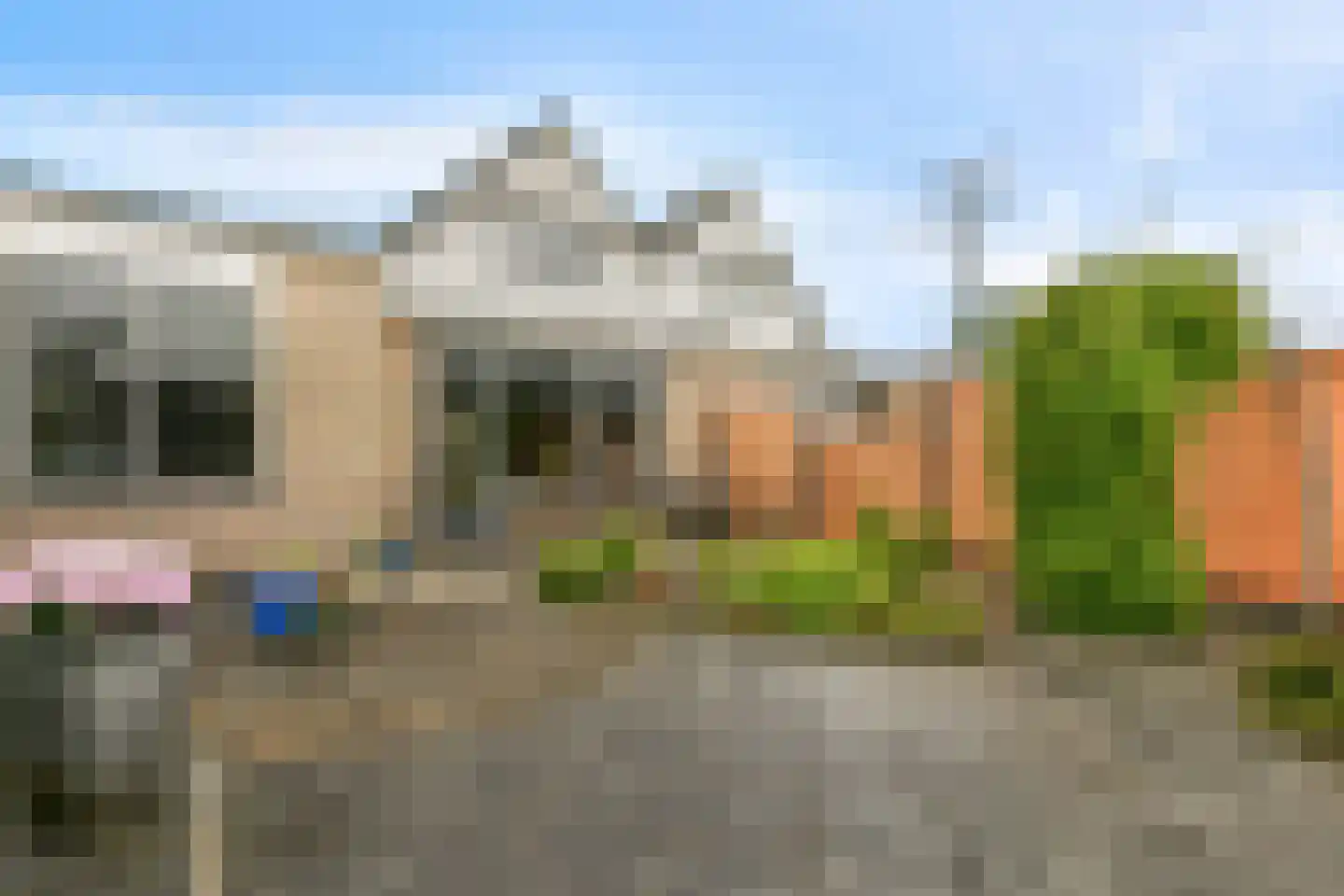 Baardmannetje 10 Nieuw-Lekkerland thumbnail 22