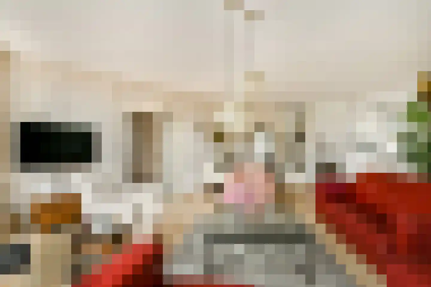 Baardmannetje 10 Nieuw-Lekkerland thumbnail 4