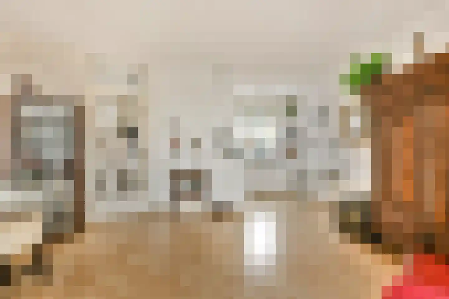 Baardmannetje 10 Nieuw-Lekkerland thumbnail 6