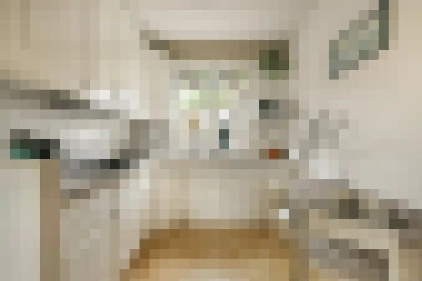 Baardmannetje 10 Nieuw-Lekkerland thumbnail 7