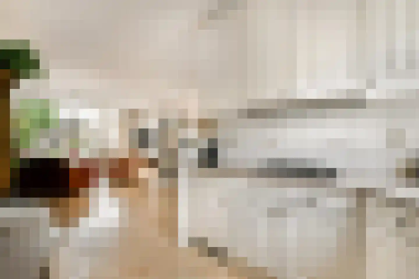 Baardmannetje 10 Nieuw-Lekkerland thumbnail 8