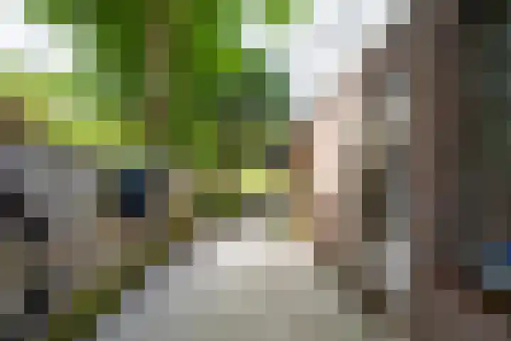 Baardwijksestraat 14 Waalwijk thumbnail 4