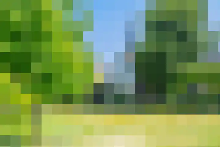 Baardwijksestraat 14 Waalwijk thumbnail 5
