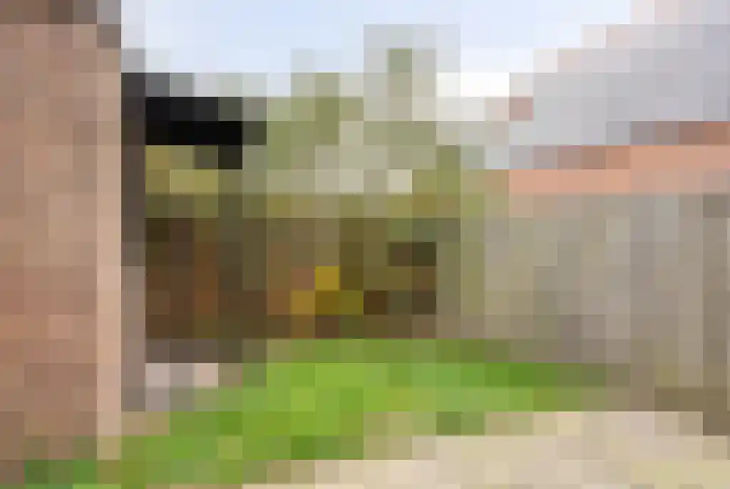 Baardwijksestraat 2 Waalwijk thumbnail 27