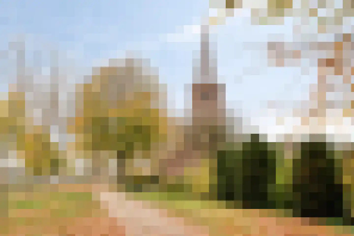 Baardwijksestraat 2 Waalwijk thumbnail 33