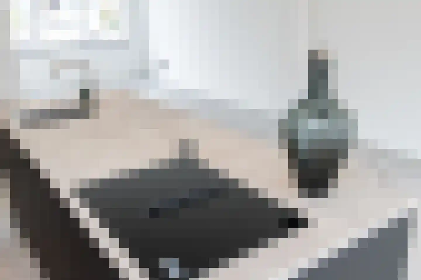 Baardwijksestraat 20 Waalwijk thumbnail 8