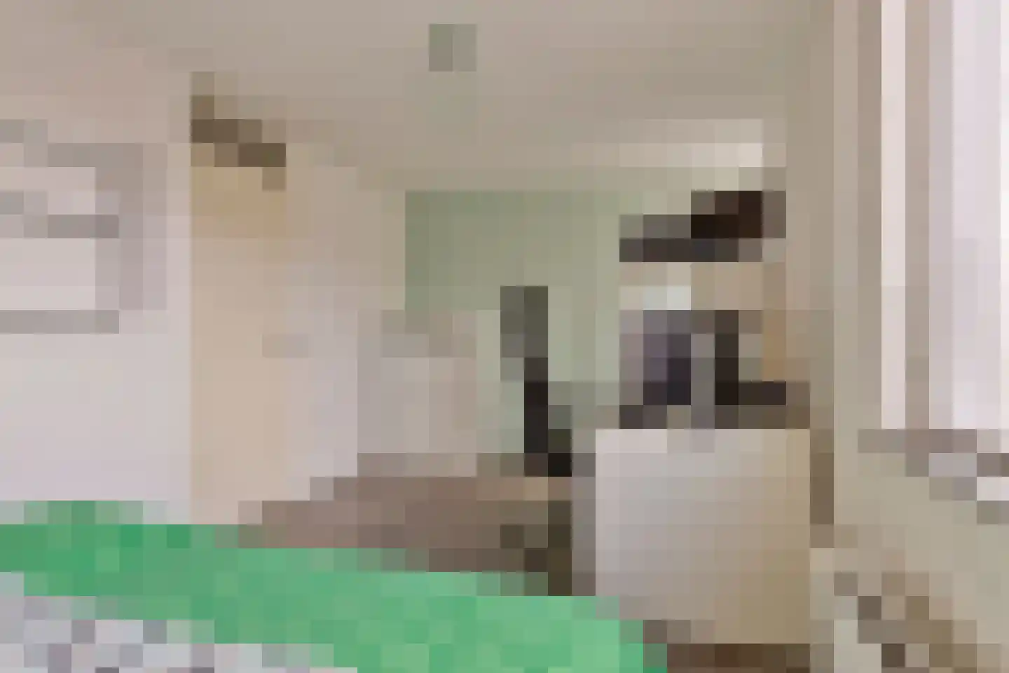 Baardwijksestraat 3 d Waalwijk thumbnail 15