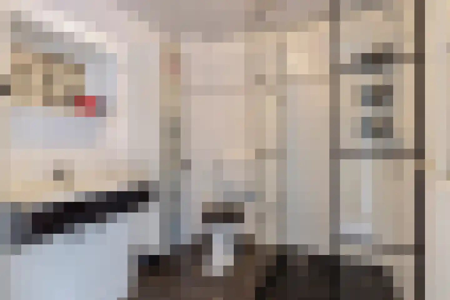 Baardwijksestraat 3 d Waalwijk thumbnail 16