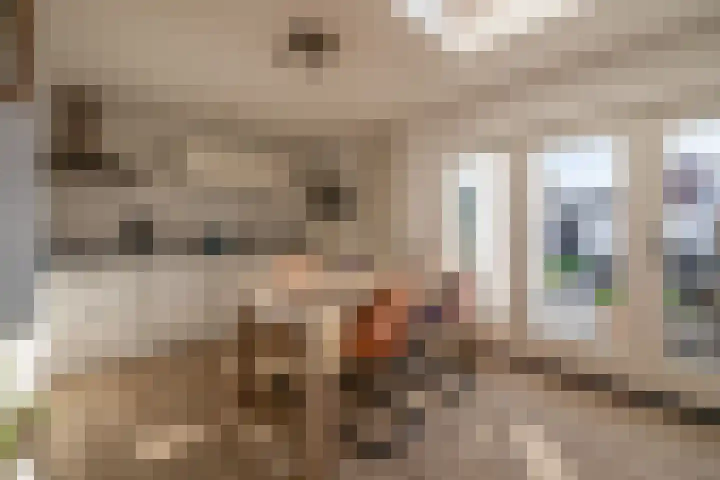 Baardwijksestraat 43 Waalwijk thumbnail 17