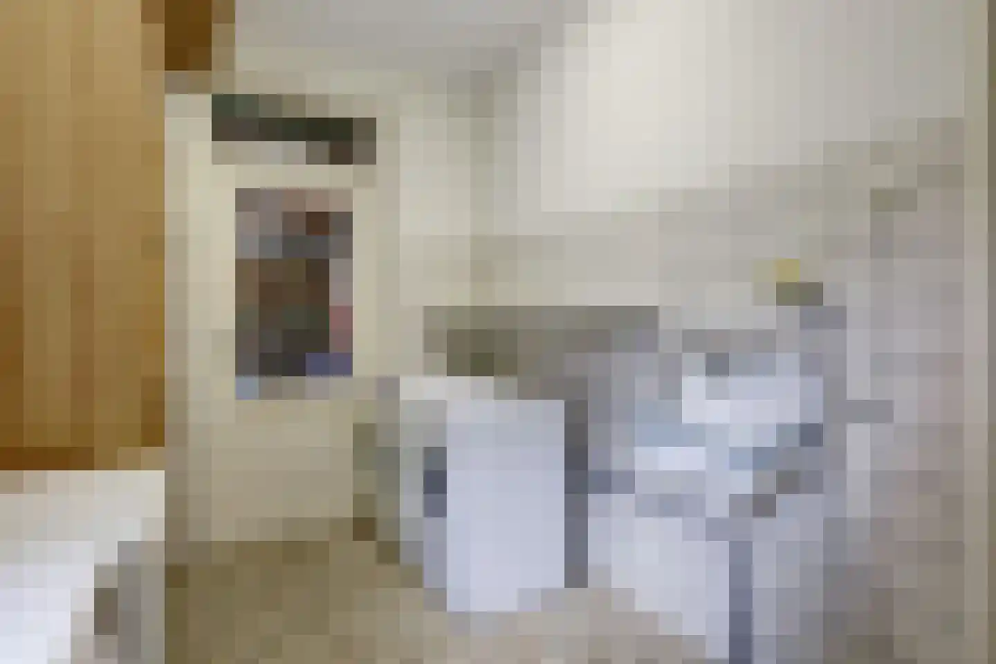 Baarhorsterdijk 8 Bathmen thumbnail 14