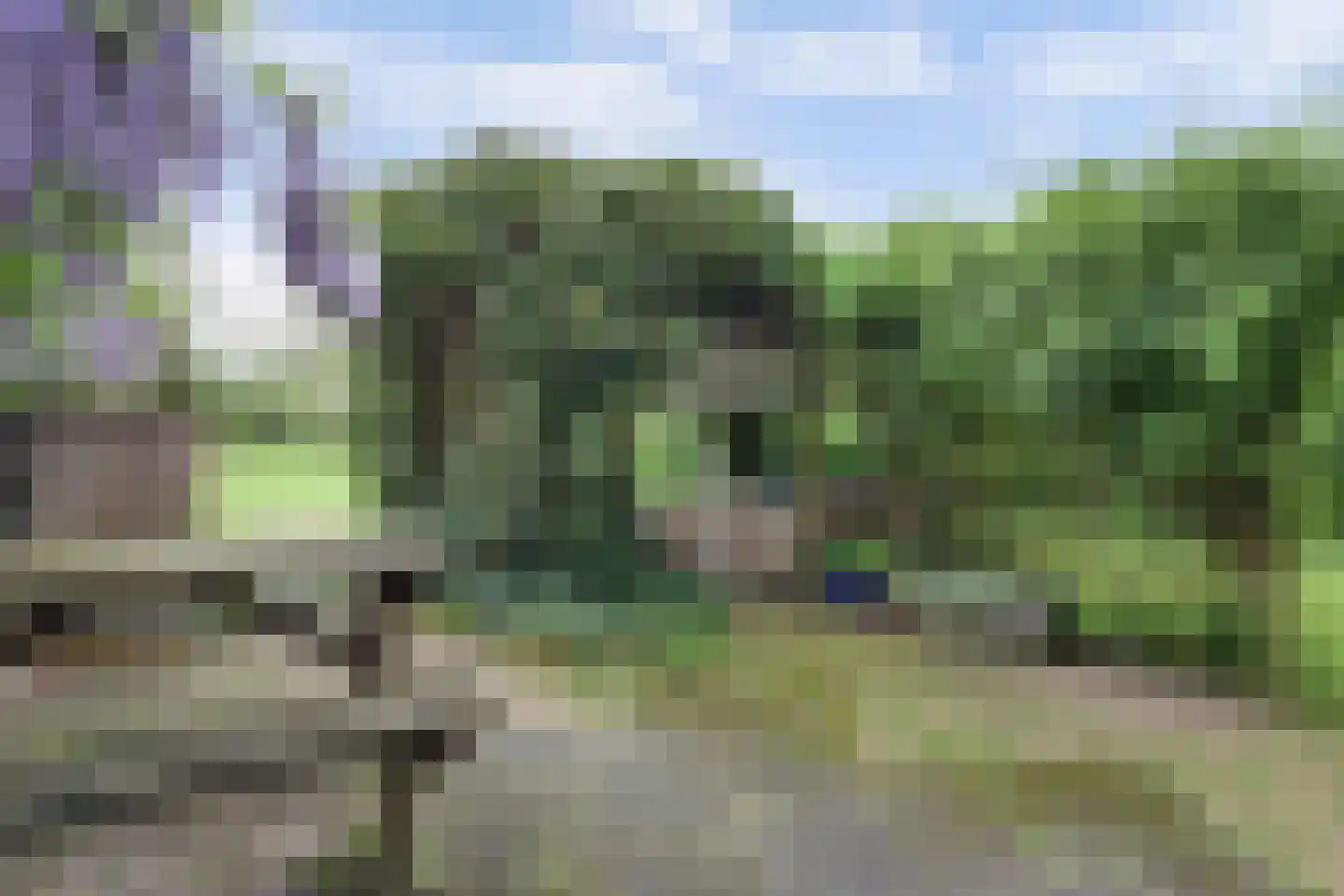 Baarhorsterdijk 8 Bathmen thumbnail 15