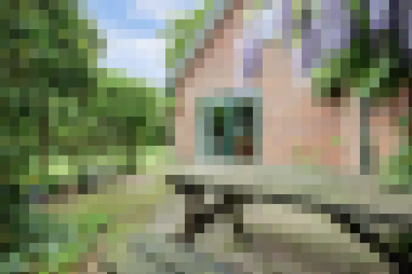 Baarhorsterdijk 8 Bathmen thumbnail 16