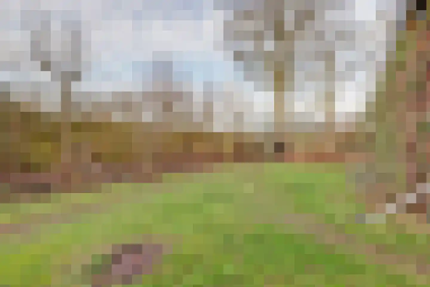 Baarhorsterdijk 8 Bathmen thumbnail 21