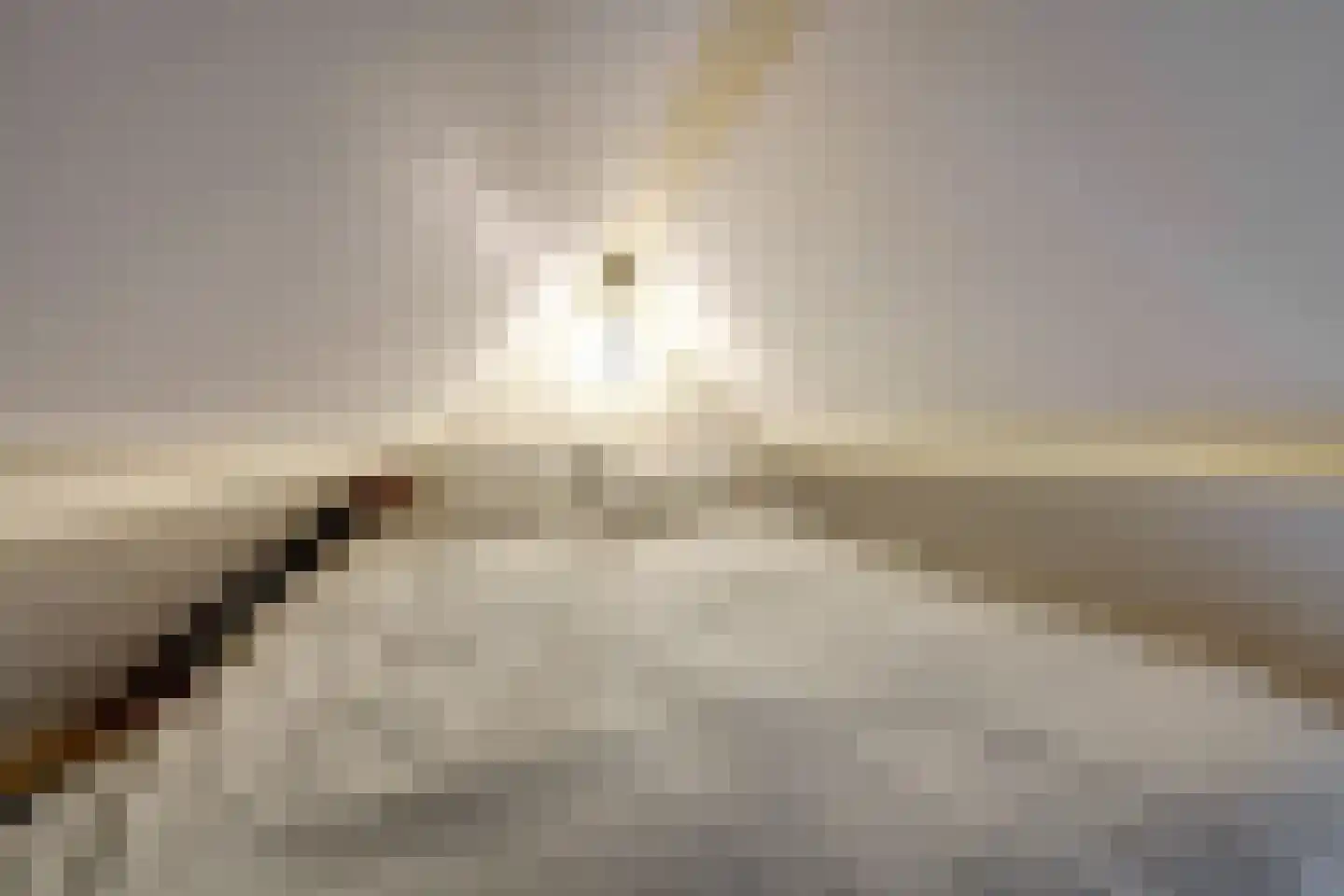 Baarhorsterdijk 8 Bathmen thumbnail 43