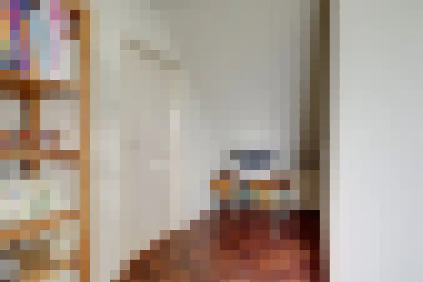 Baarhorsterdijk 8 Bathmen thumbnail 44