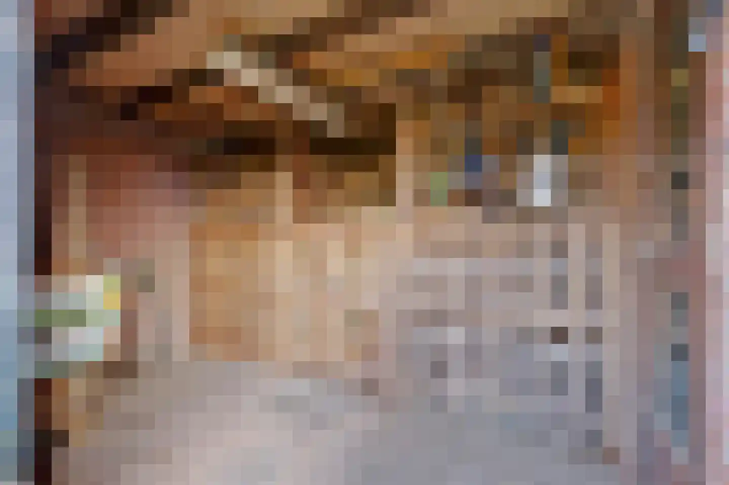 Baarhorsterdijk 8 Bathmen thumbnail 47