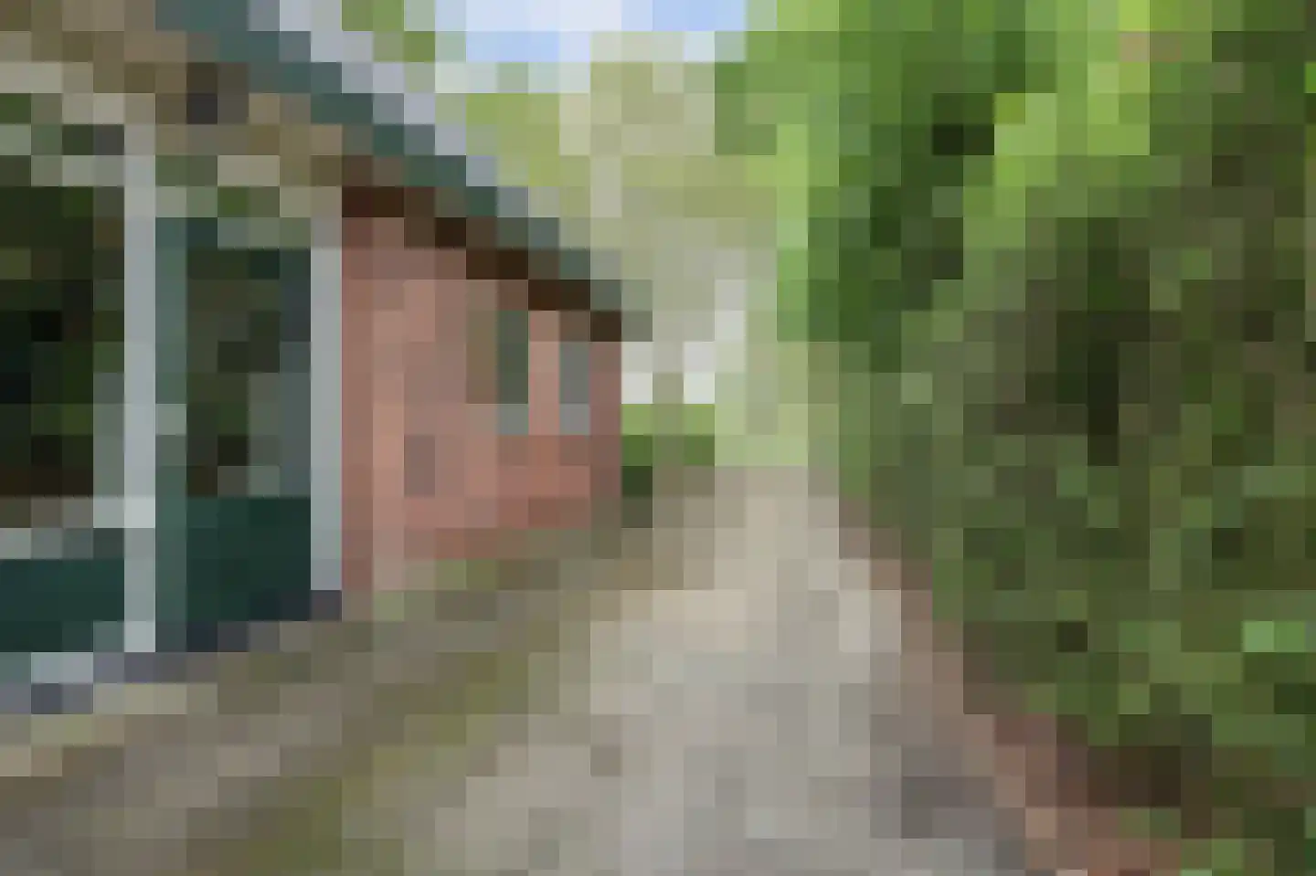 Baarhorsterdijk 8 Bathmen thumbnail 52