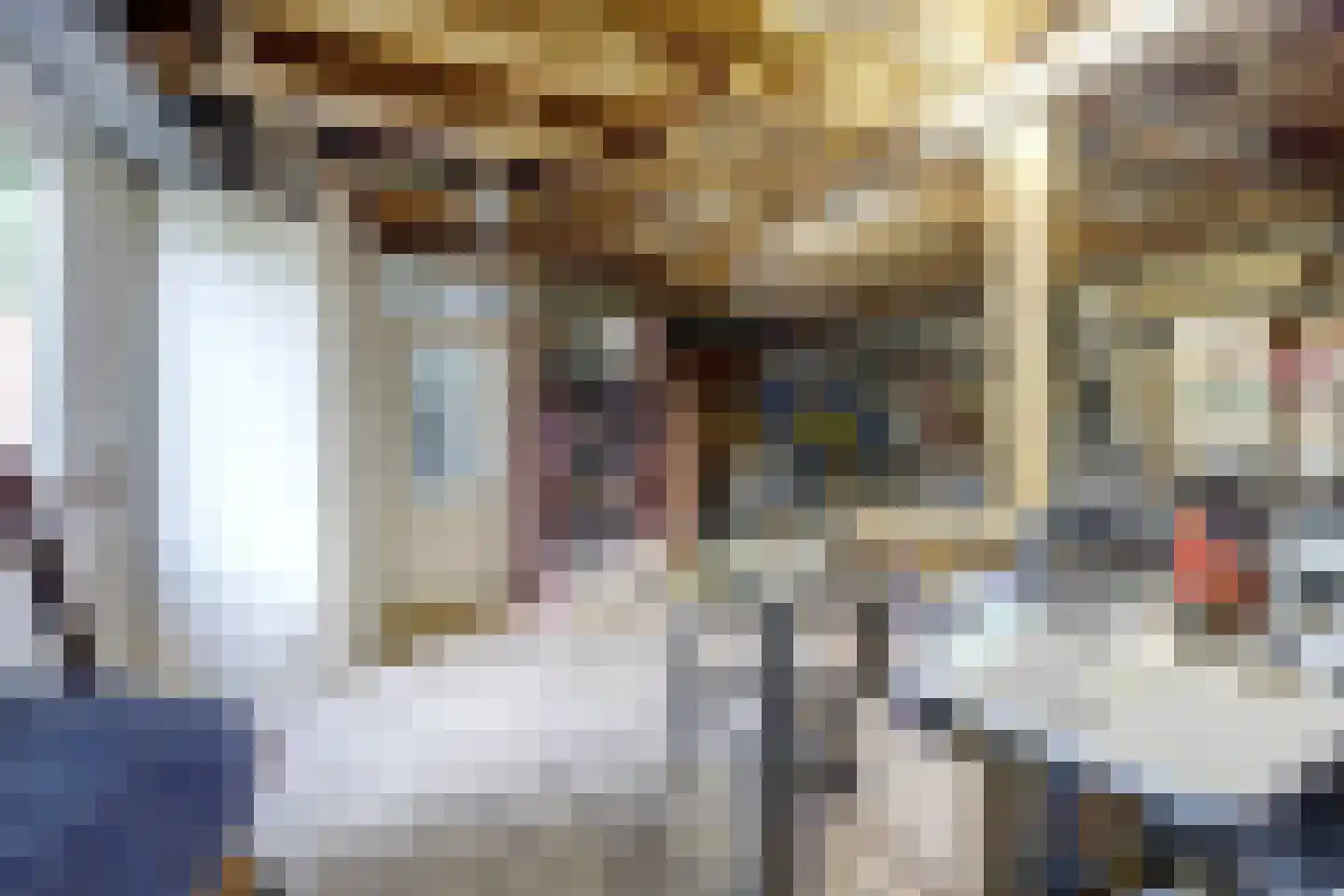 Baarhorsterdijk 8 Bathmen thumbnail 59