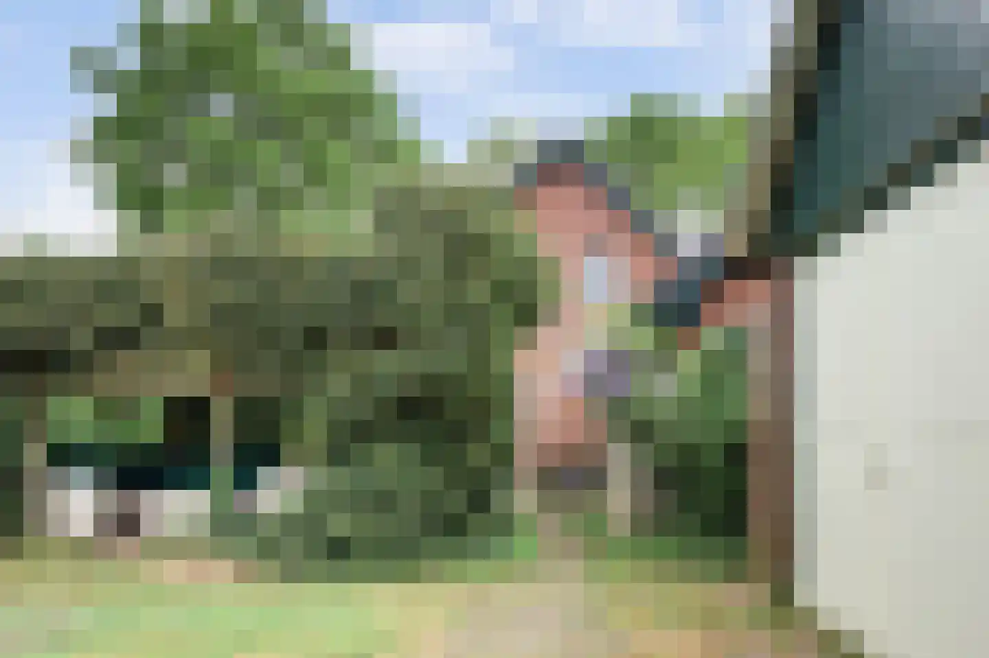 Baarhorsterdijk 8 Bathmen thumbnail 60