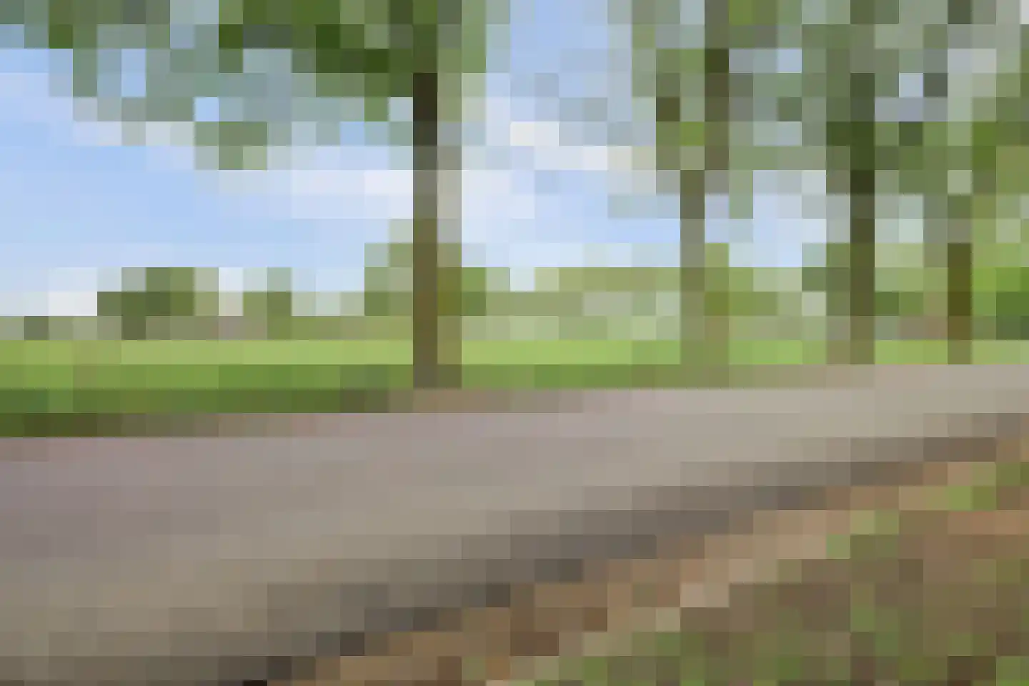 Baarhorsterdijk 8 Bathmen thumbnail 64