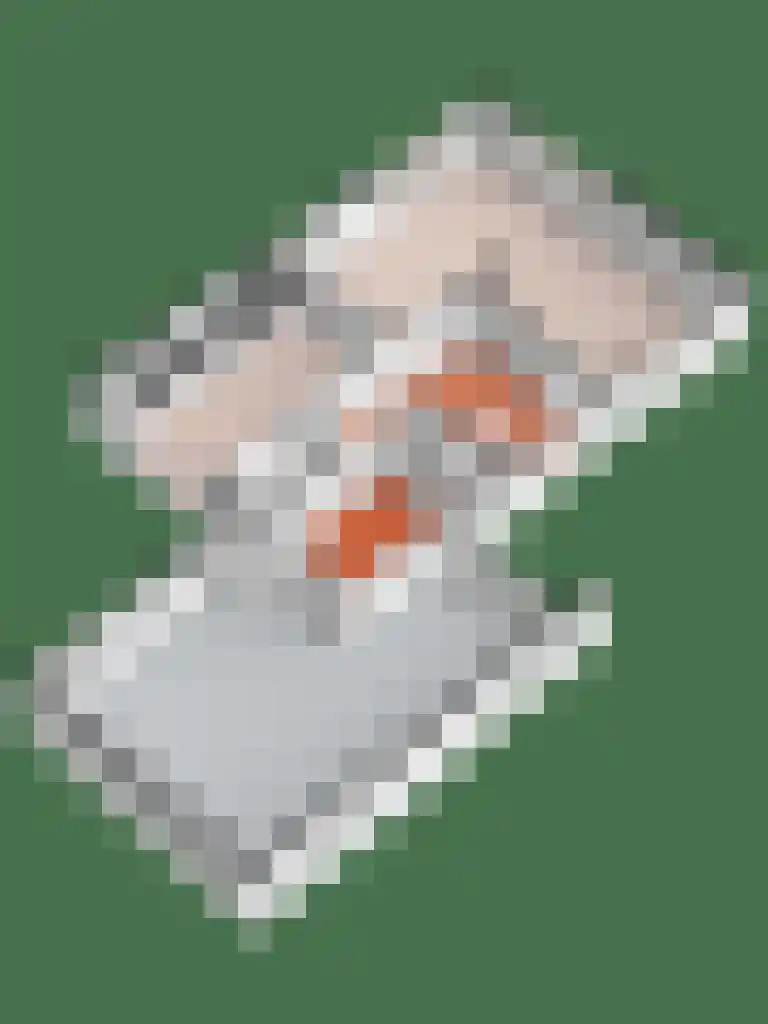 Baarhorsterdijk 8 Bathmen thumbnail 68