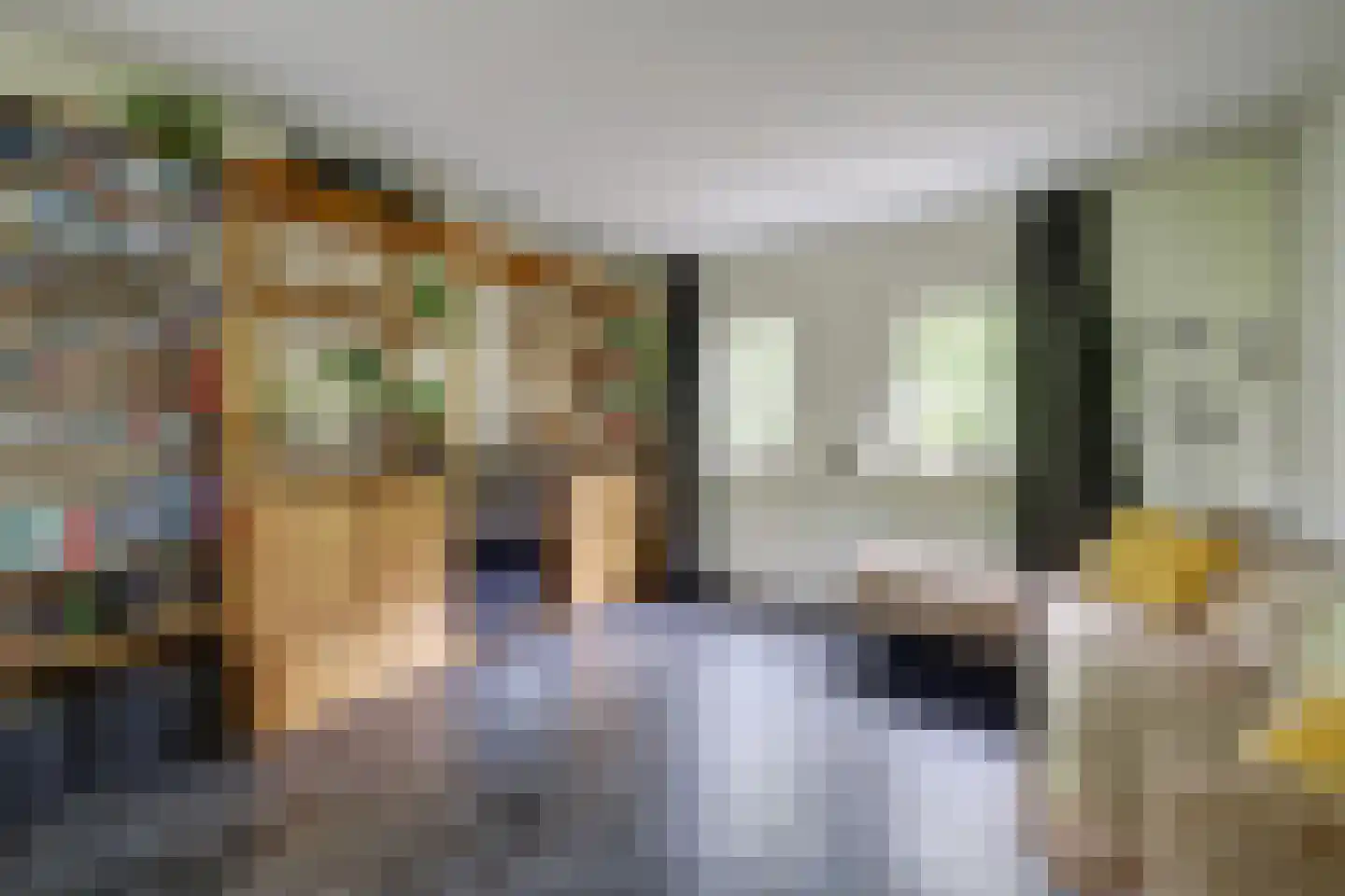 Baarhorsterdijk 8 Bathmen thumbnail 9