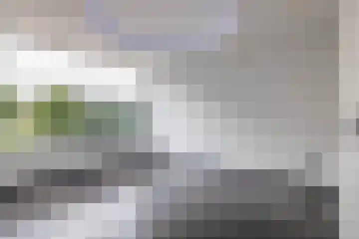 Baarlandhof 48 Rotterdam thumbnail 33
